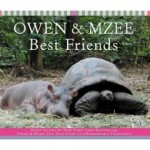 Owen y Mzee