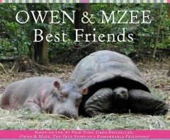 Make a friend day: Owen and Mzee