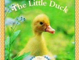 Portada del libro de Little Duck