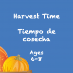 Tiempo de cosecha para niños de 6 a 8 años