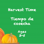Harvest for 3-5 year olds