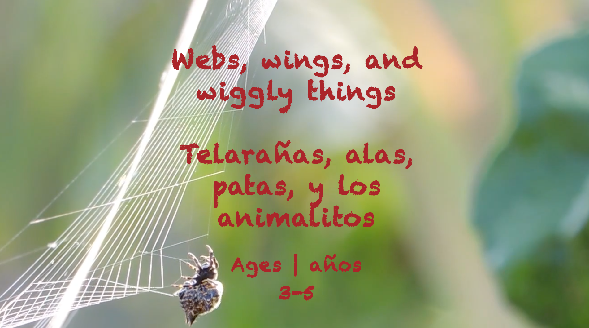 Week 36 Webs Wings and Wiggly Things Card Ages 3-5