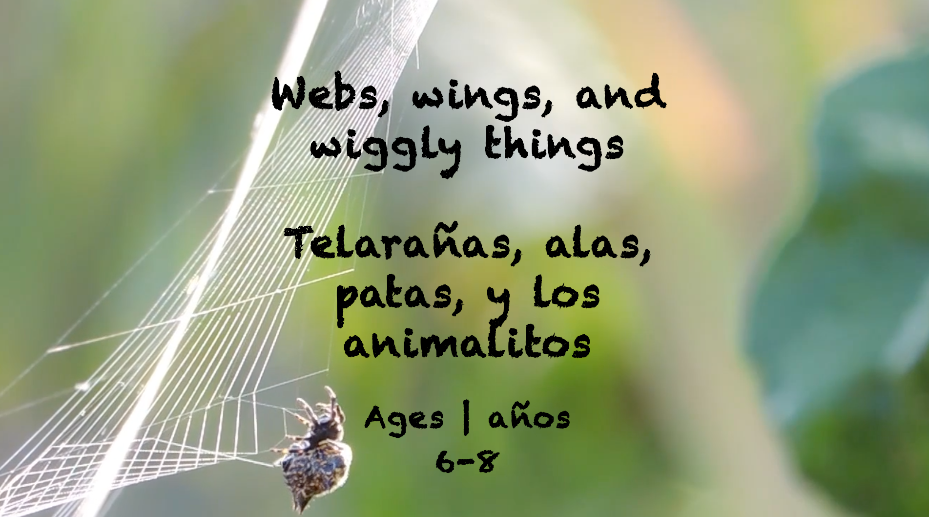 Webs, Wings, and Wiggly Things for 6-8 year olds