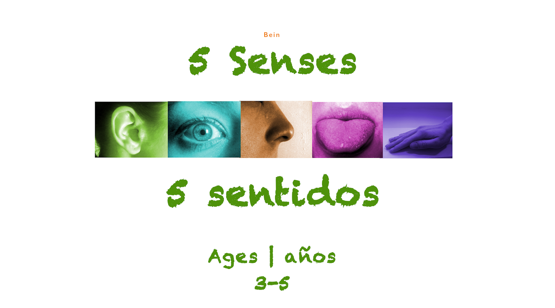 The 5 Senses for 3-5 year olds