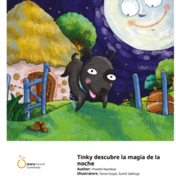 Tinky descubre la magia de la noche PDF downloadable book