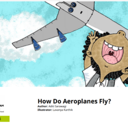 How Do Aeroplanes Fly?