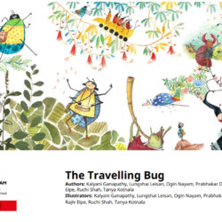 The Travelling Bug PDF digital book
