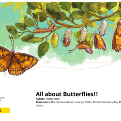 All about Butterflies!! PDF downloadable digital book