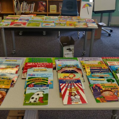 libros esparcidos sobre una mesa en Summer Success en McBee Elementary